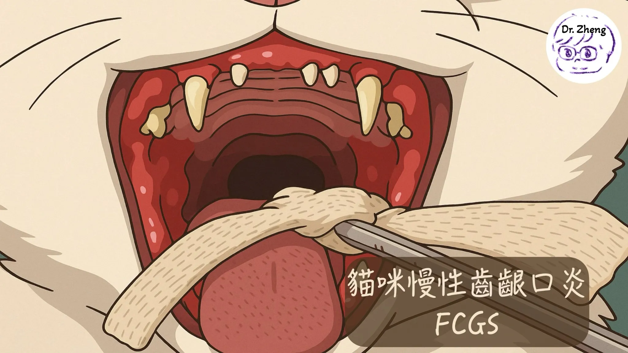 貓咪慢性齒齦口炎的典型紅腫口腔，張嘴可見嚴重發炎
