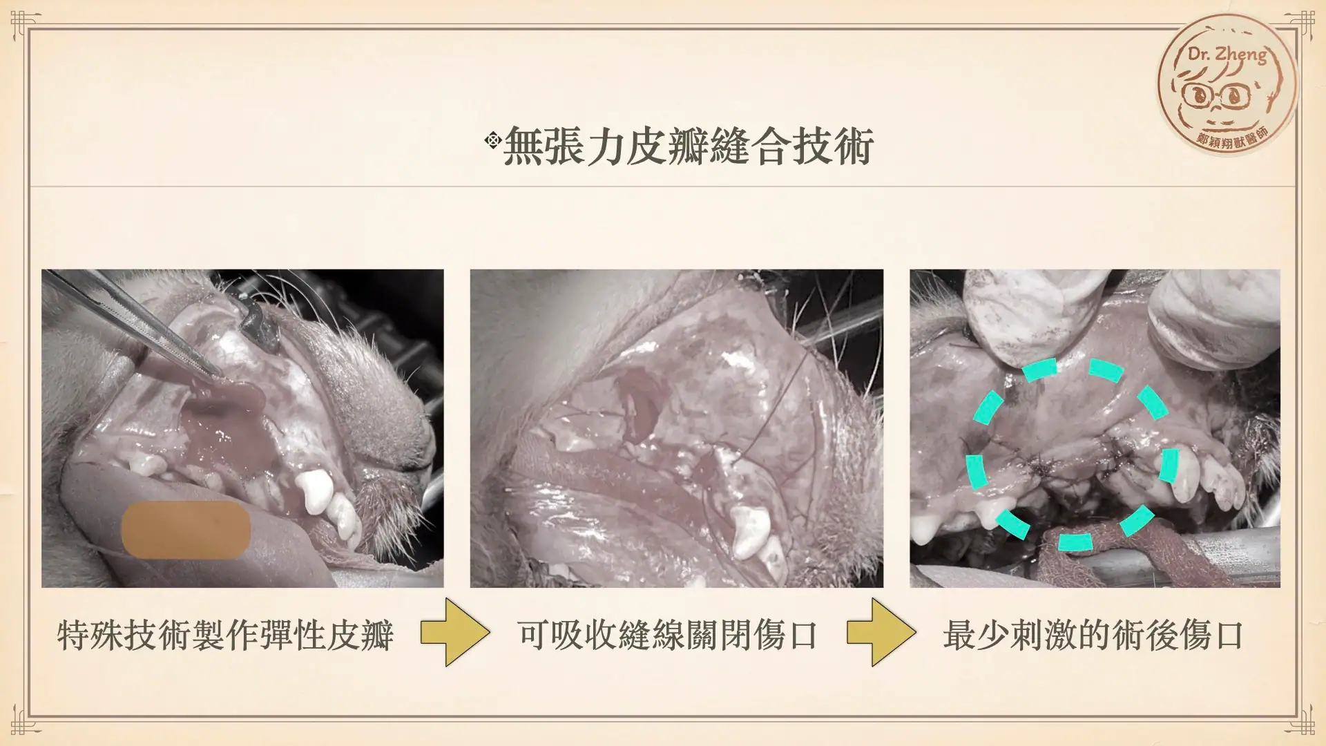 犬貓口腔傷口無張力皮瓣縫合技術