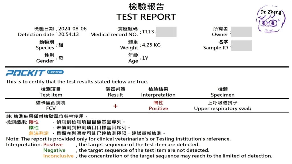 貓咪卡里西病毒（FCV）PCR檢測報告，顯示檢體為上呼吸道拭子，檢測結果為陽性