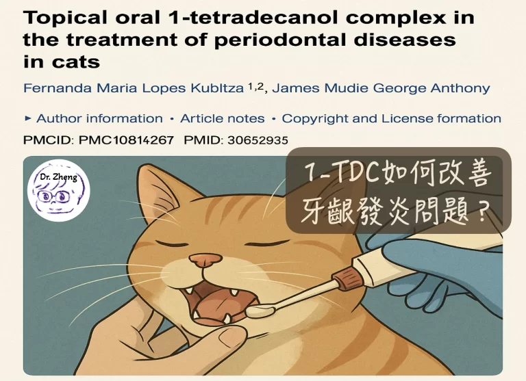 獸醫師替橘貓局部塗抹1-TDC，說明其在改善牙周病炎症的應用