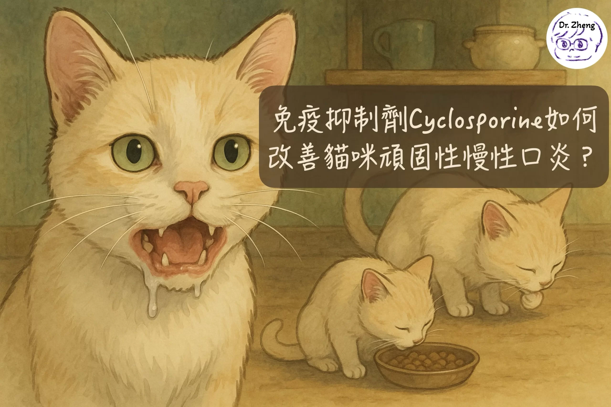 貓咪接受 Cyclosporine 治療後，從口腔紅腫流涎恢復為能正常進食的狀態