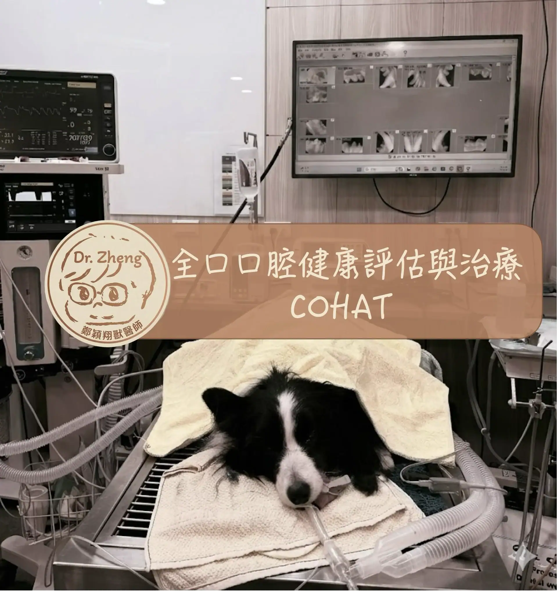 鄭穎翔獸醫師門診預約