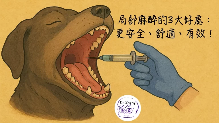 狗狗張大嘴巴接受局部麻醉注射，強調牙科手術局部麻醉的三大好處：更安全、舒適、有效。