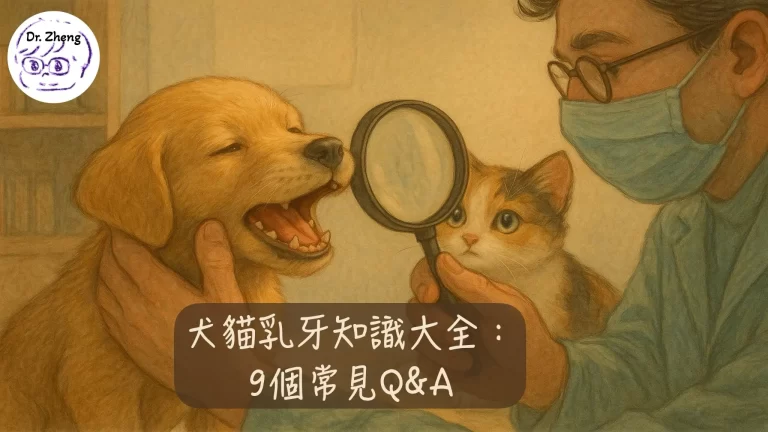 犬貓乳牙知識大全：9個家長必懂的毛孩牙齒發育QA