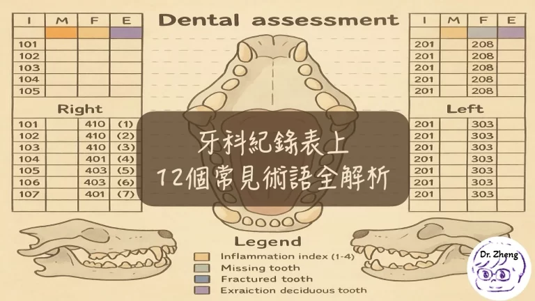 獸醫牙科紀錄表術語解析