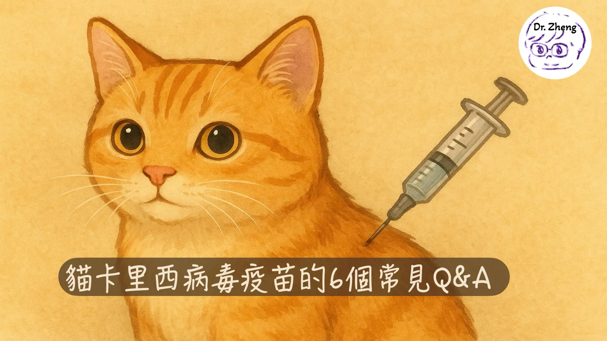貓咪打疫苗示意圖，搭配文字「貓卡里西病毒疫苗的6個常見Q&A」