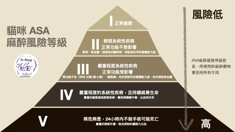 貓咪版本的麻醉風險ASA評估表，可以看到更細節的舉例