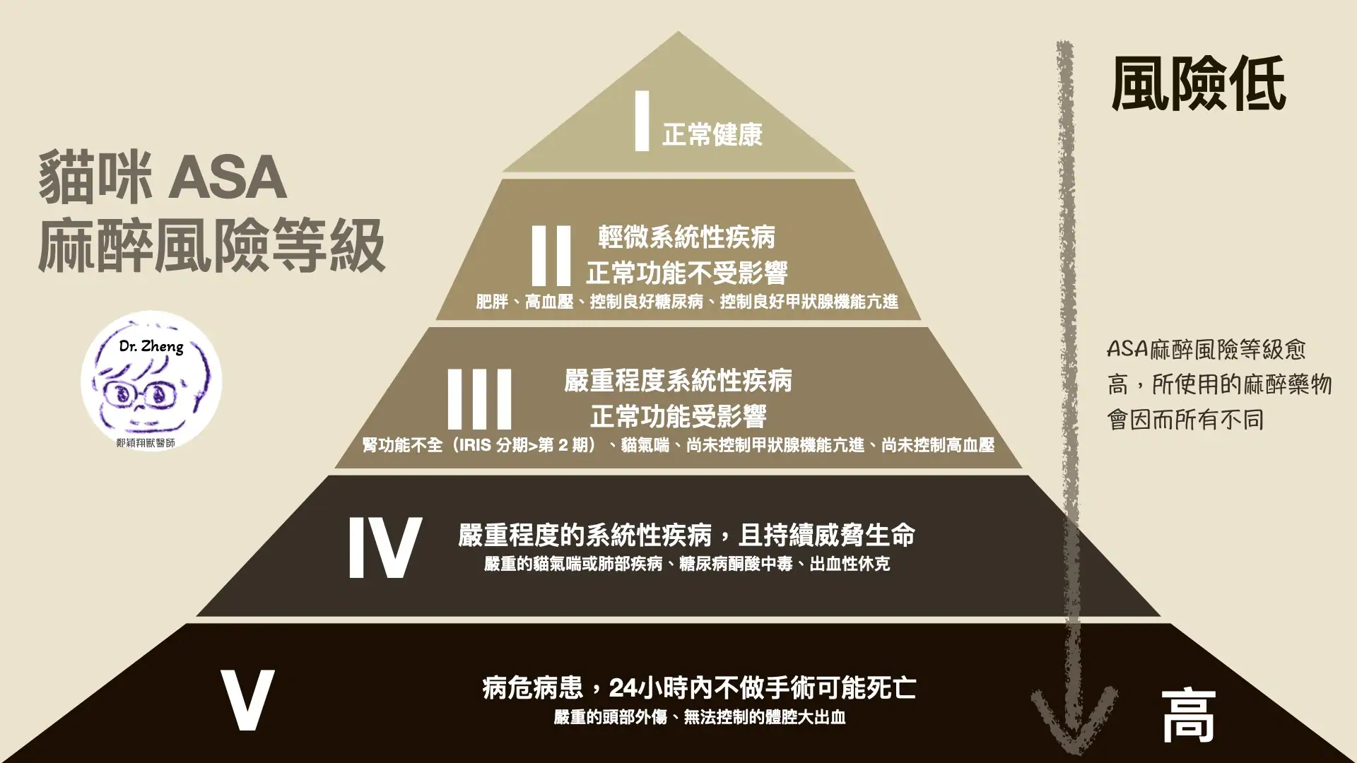 貓咪版本的麻醉風險ASA評估表，可以看到更細節的舉例
