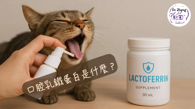 貓咪張口接受口腔乳鐵蛋白噴劑，旁邊擺著一瓶 LACTOFERRIN 補充品