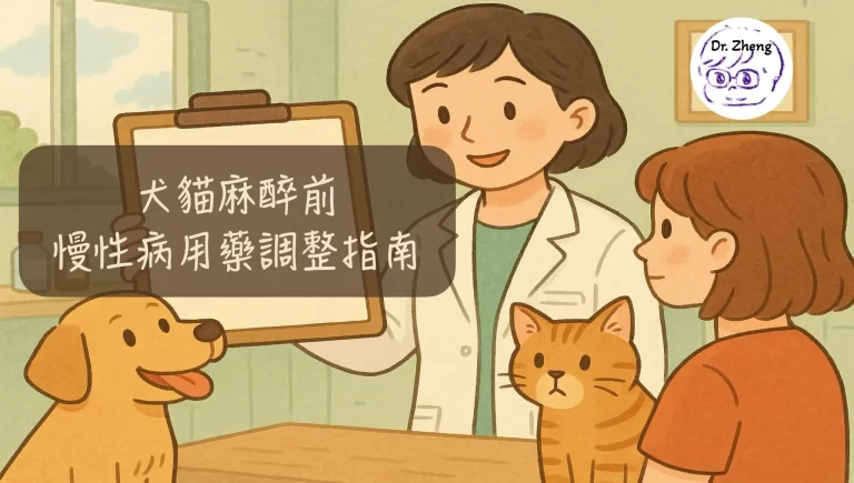 獸醫在診間與飼主討論犬貓麻醉前慢性病用藥調整指南
