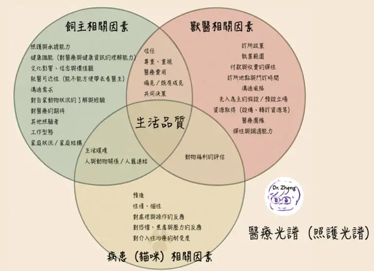 在實際獸醫診療中，飼主因素、貓咪本身的狀況，以及獸醫端的條件，這三大面向共同形塑了『醫療光譜』式的照護決策。