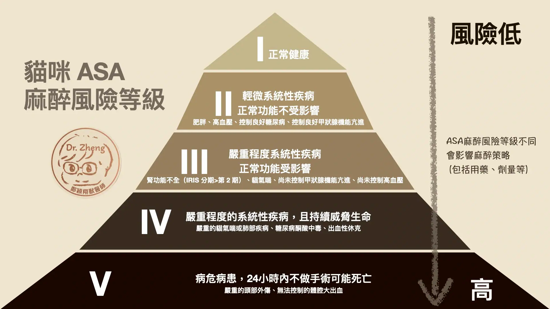 貓咪麻醉風險ASA圖表，等級不同會影響用藥和劑量等