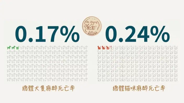 犬貓麻醉的基本死亡率概念圖