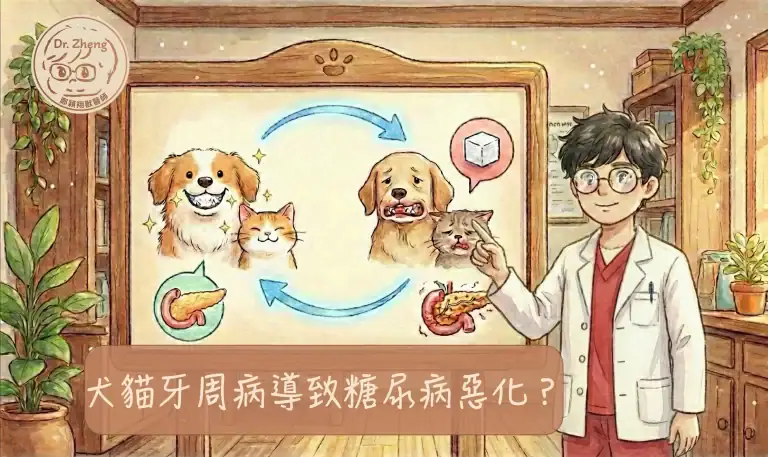 糖尿病犬貓牙齒健康的-5-大隱藏危機與對策-