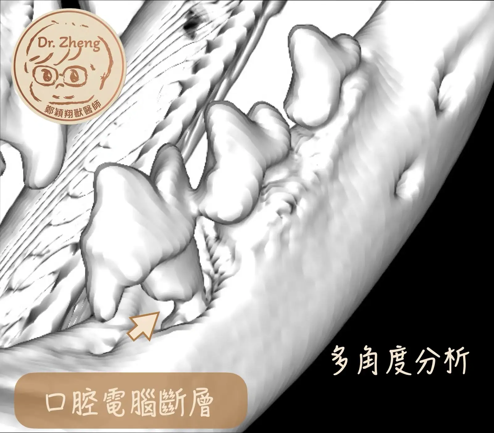 犬貓口腔電腦斷層CBCT